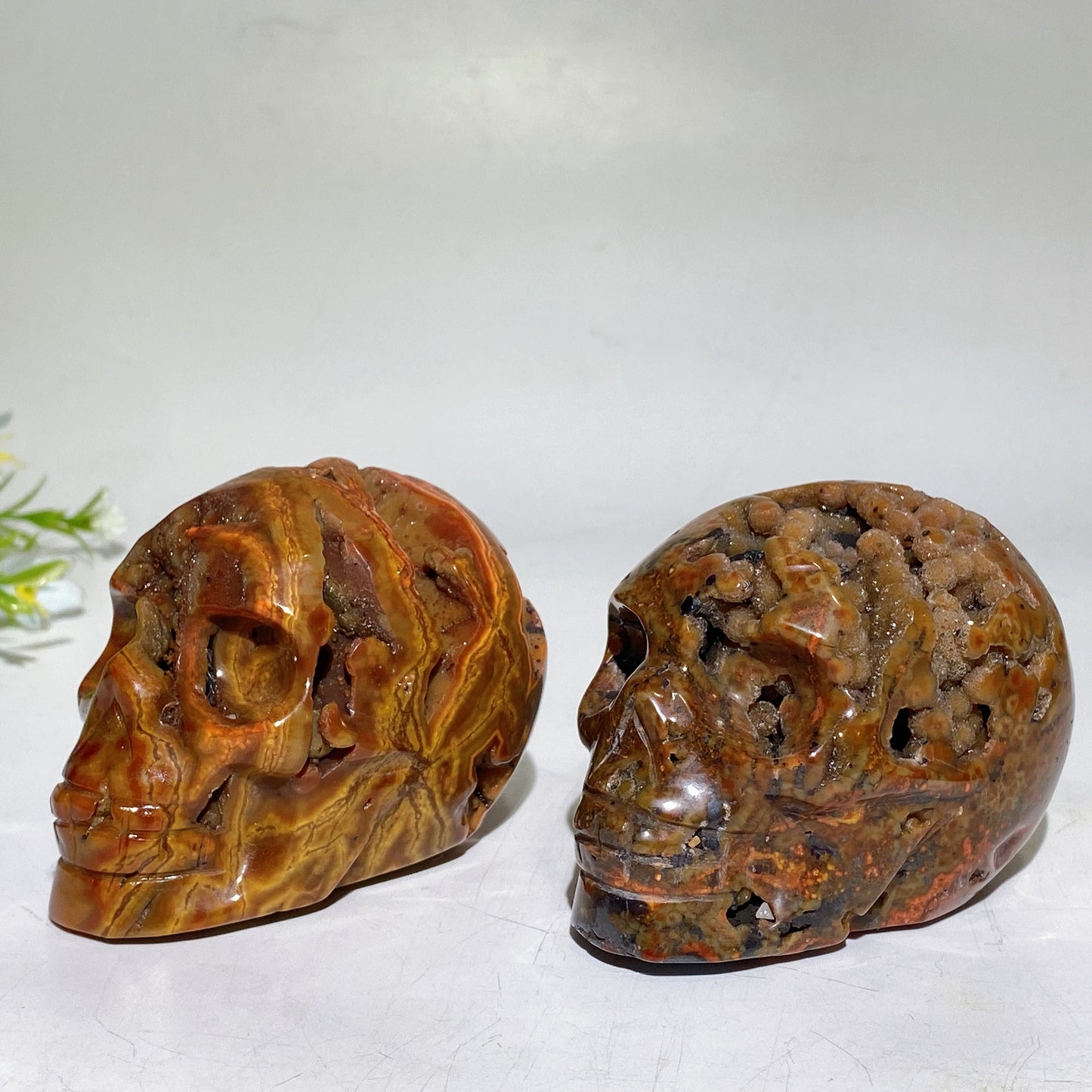 2.9"-3.2" Druzy Agate Skull Carving Crystal Healing Bulk Wholesale
