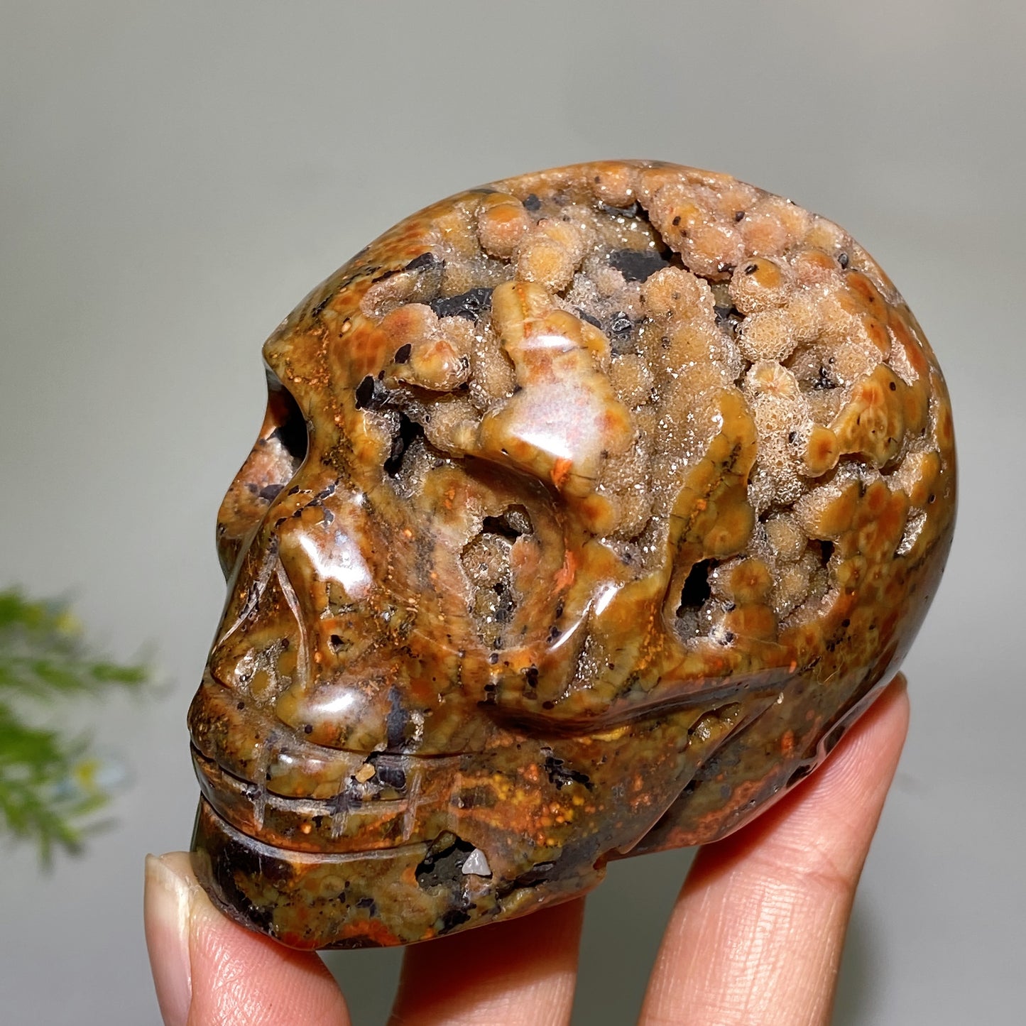 2.9"-3.2" Druzy Agate Skull Carving Crystal Healing Bulk Wholesale