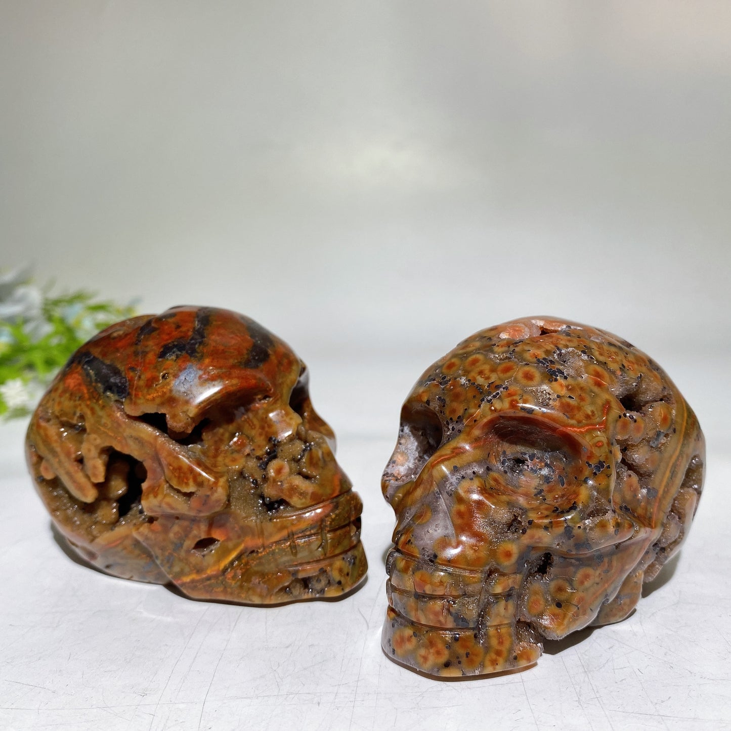 2.9"-3.2" Druzy Agate Skull Carving Crystal Healing Bulk Wholesale