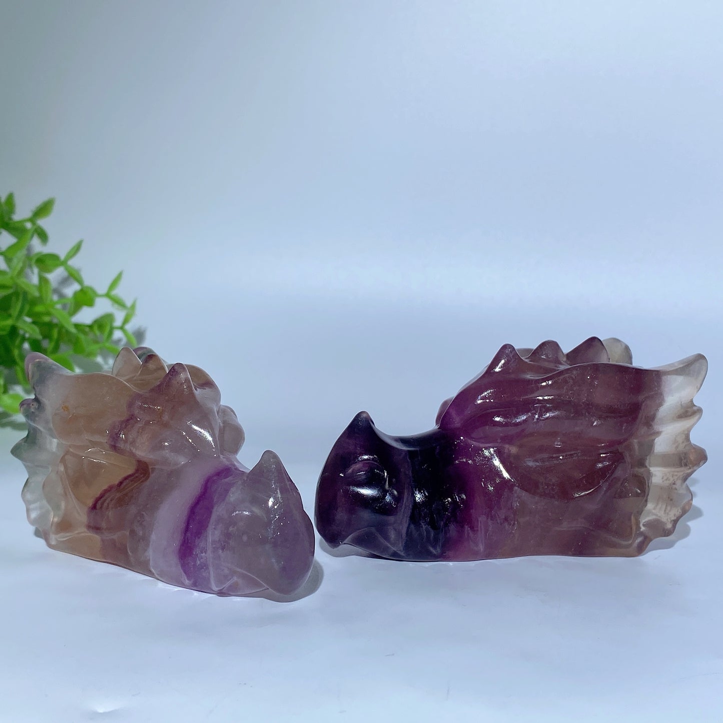 3.6" Fluorite Dragon Head Carvings Bulk Wholesale