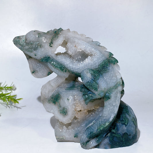 Unique Hand Carved Druzy Moss Agate Lizard Free Form Crystal Healing Bulk Wholesale