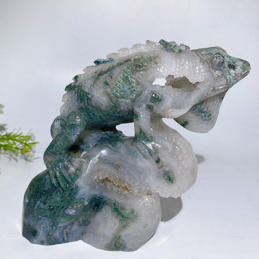 Unique Hand Carved Druzy Moss Agate Lizard Free Form Crystal Healing Bulk Wholesale