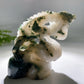 Unique Hand Carved Druzy Moss Agate Lizard Free Form Crystal Healing Bulk Wholesale