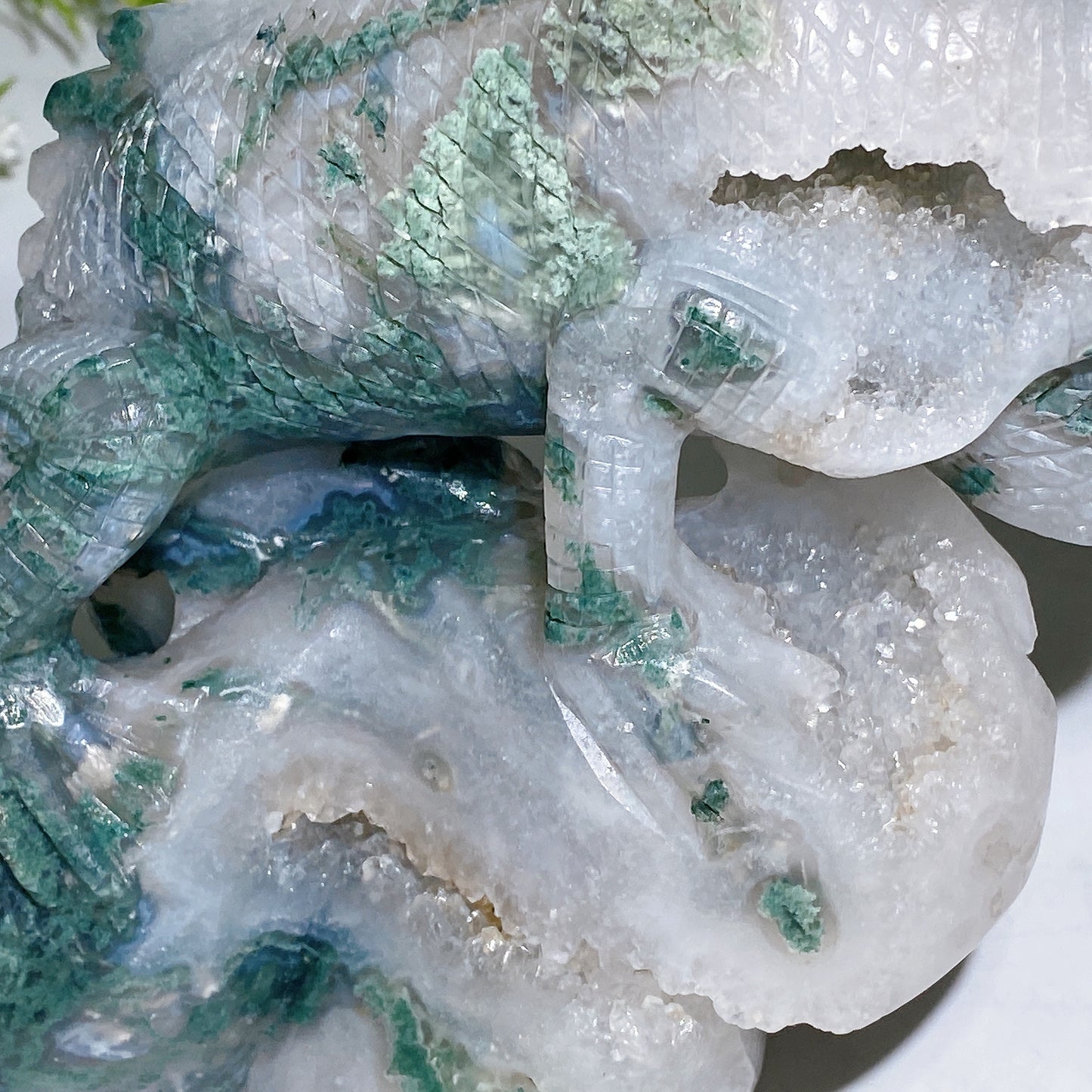 Unique Hand Carved Druzy Moss Agate Lizard Free Form Crystal Healing Bulk Wholesale