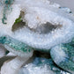 Unique Hand Carved Druzy Moss Agate Lizard Free Form Crystal Healing Bulk Wholesale