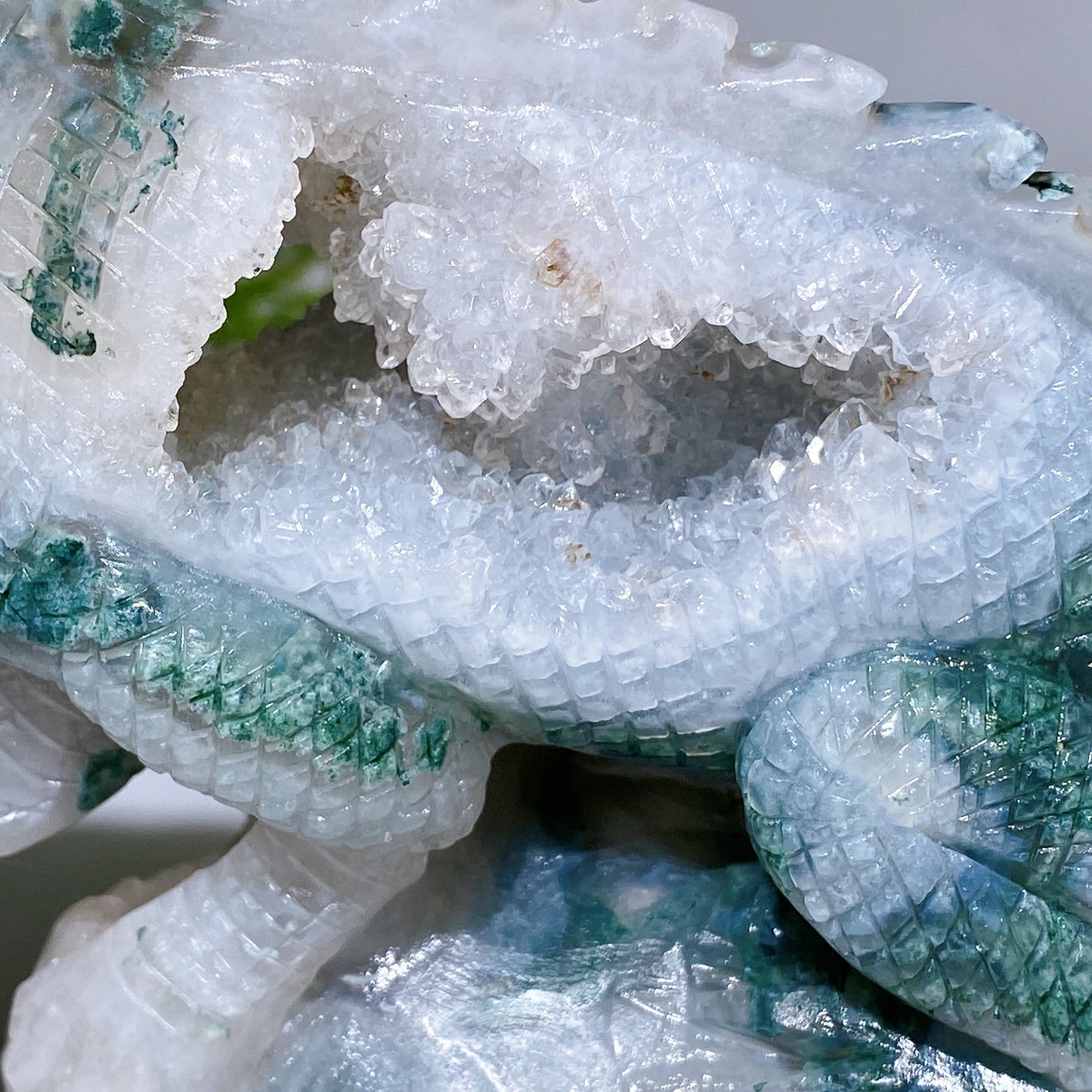 Unique Hand Carved Druzy Moss Agate Lizard Free Form Crystal Healing Bulk Wholesale