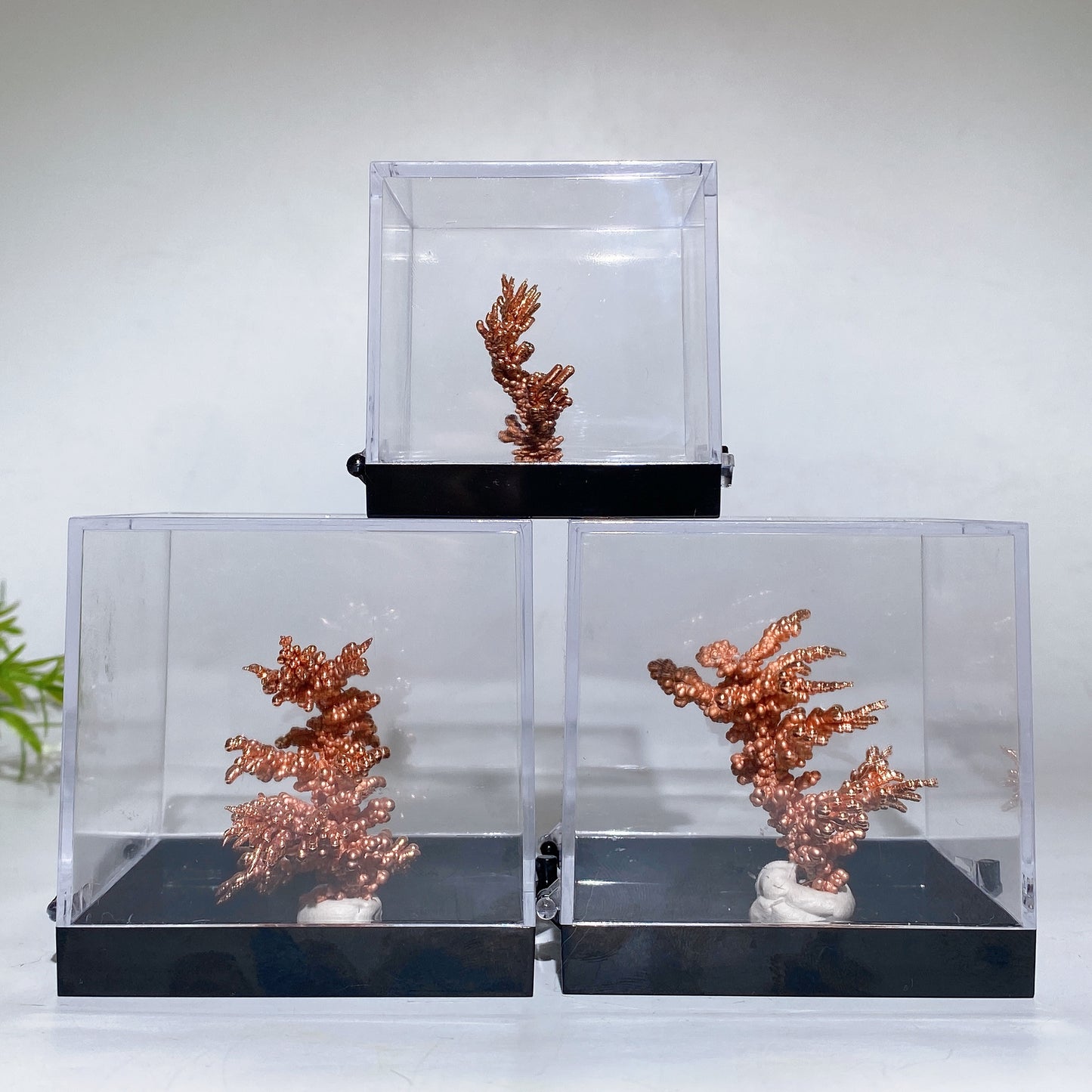 Copper Tree with Display Box Free Form Crystal Healing Bulk Wholesale