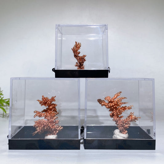 Copper Tree with Display Box Free Form Crystal Healing Bulk Wholesale