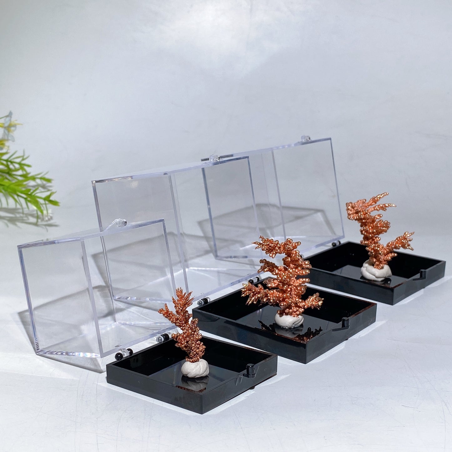 Copper Tree with Display Box Free Form Crystal Healing Bulk Wholesale