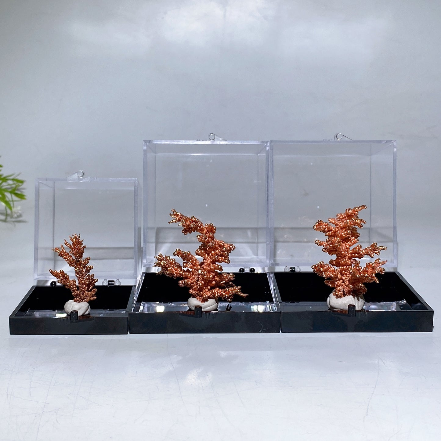 Copper Tree with Display Box Free Form Crystal Healing Bulk Wholesale