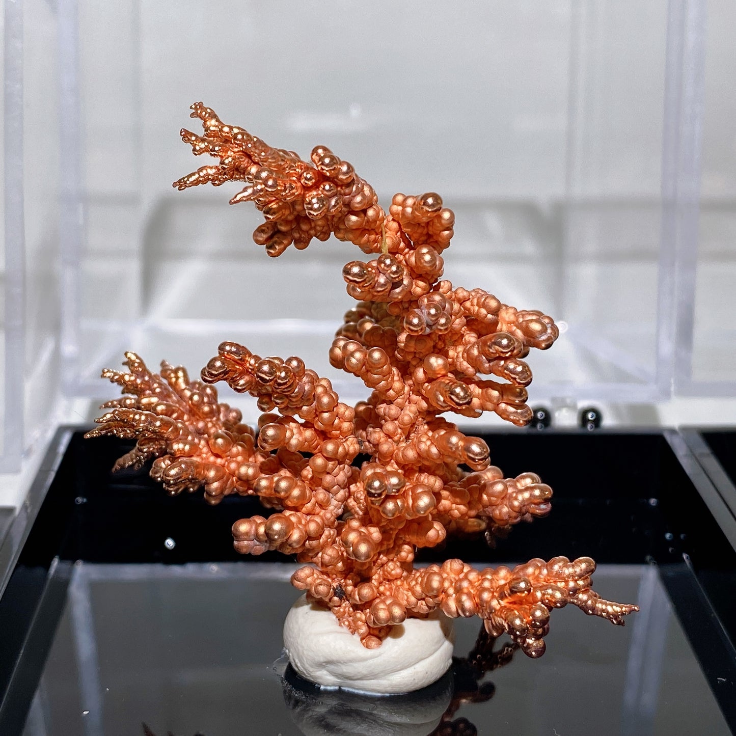 Copper Tree with Display Box Free Form Crystal Healing Bulk Wholesale