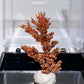 Copper Tree with Display Box Free Form Crystal Healing Bulk Wholesale