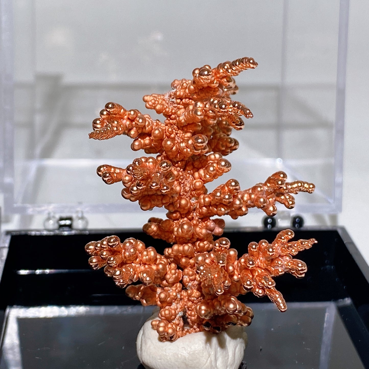 Copper Tree with Display Box Free Form Crystal Healing Bulk Wholesale