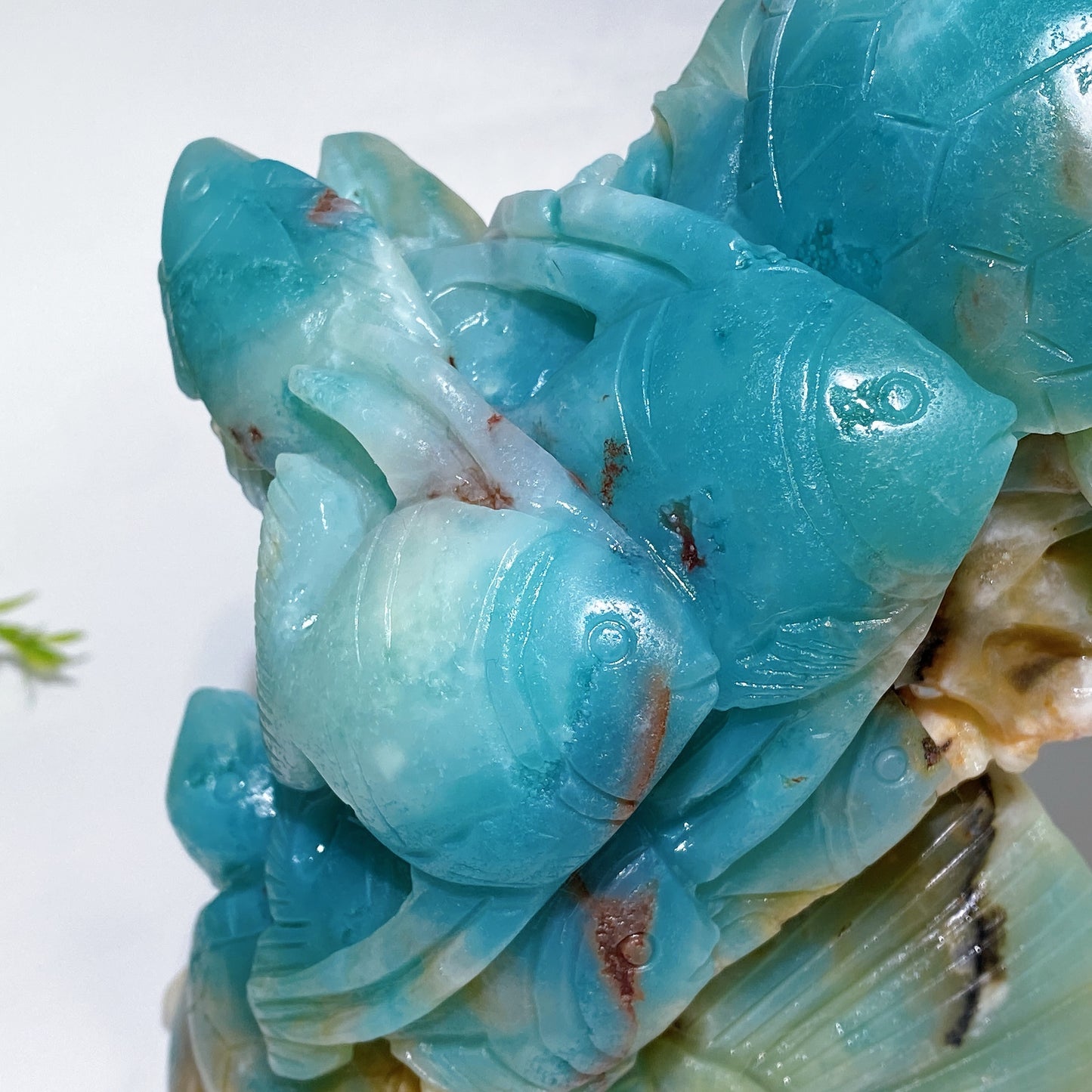 Hand Carved Unique Caribbean Calcite Ocean World Fish Turtle Coral Shell Carving Free Form Crystal Healing Bulk Wholesale