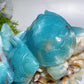 Hand Carved Unique Caribbean Calcite Ocean World Fish Turtle Coral Shell Carving Free Form Crystal Healing Bulk Wholesale