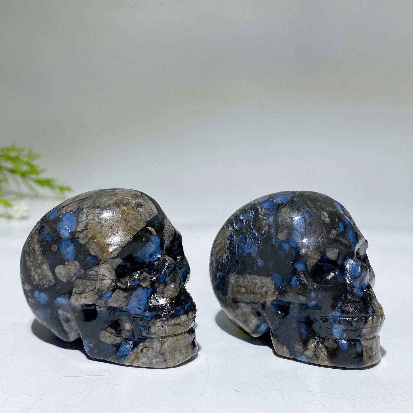 2.1" Blue Que Sera Skull Carving Crystal Healing Bulk Wholesale