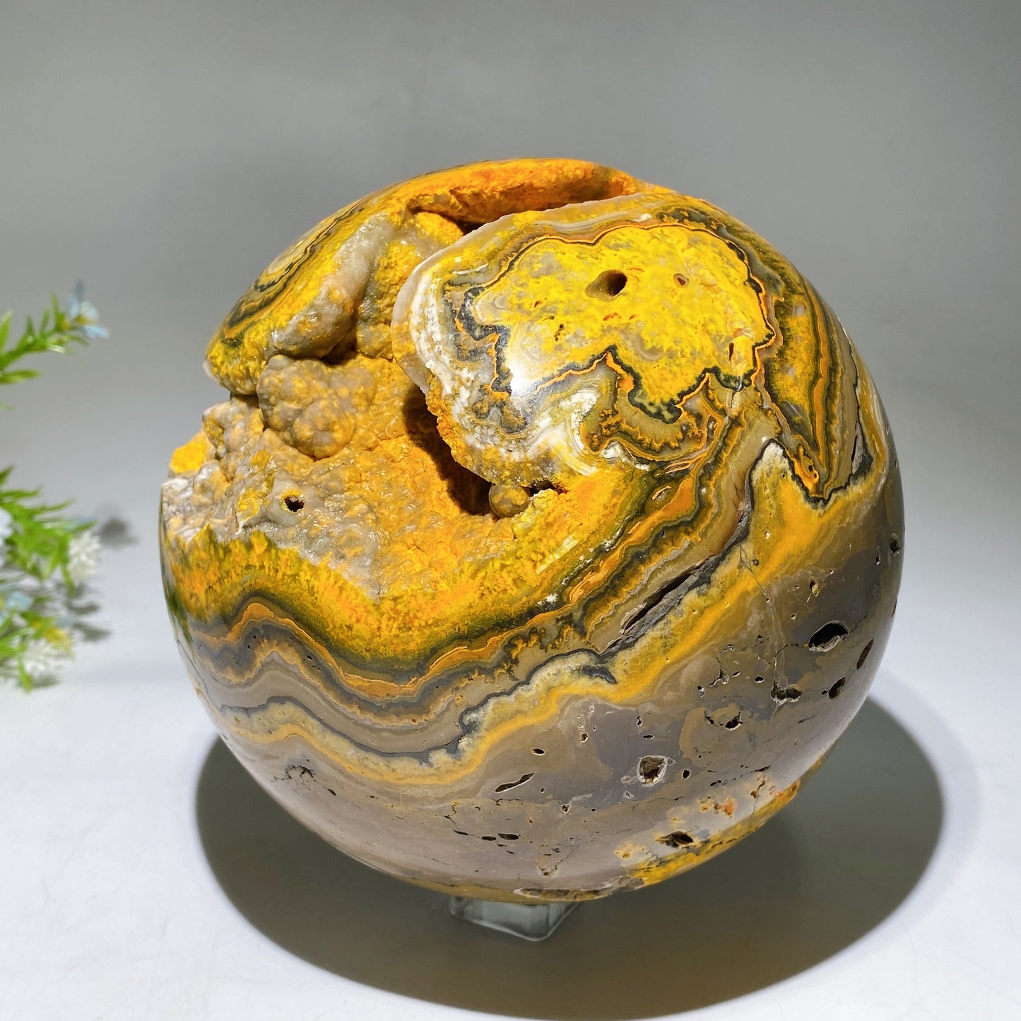 15cm Unique Large Bumble Bee Jasper Sphere Crystal Healing Bulk Wholesale
