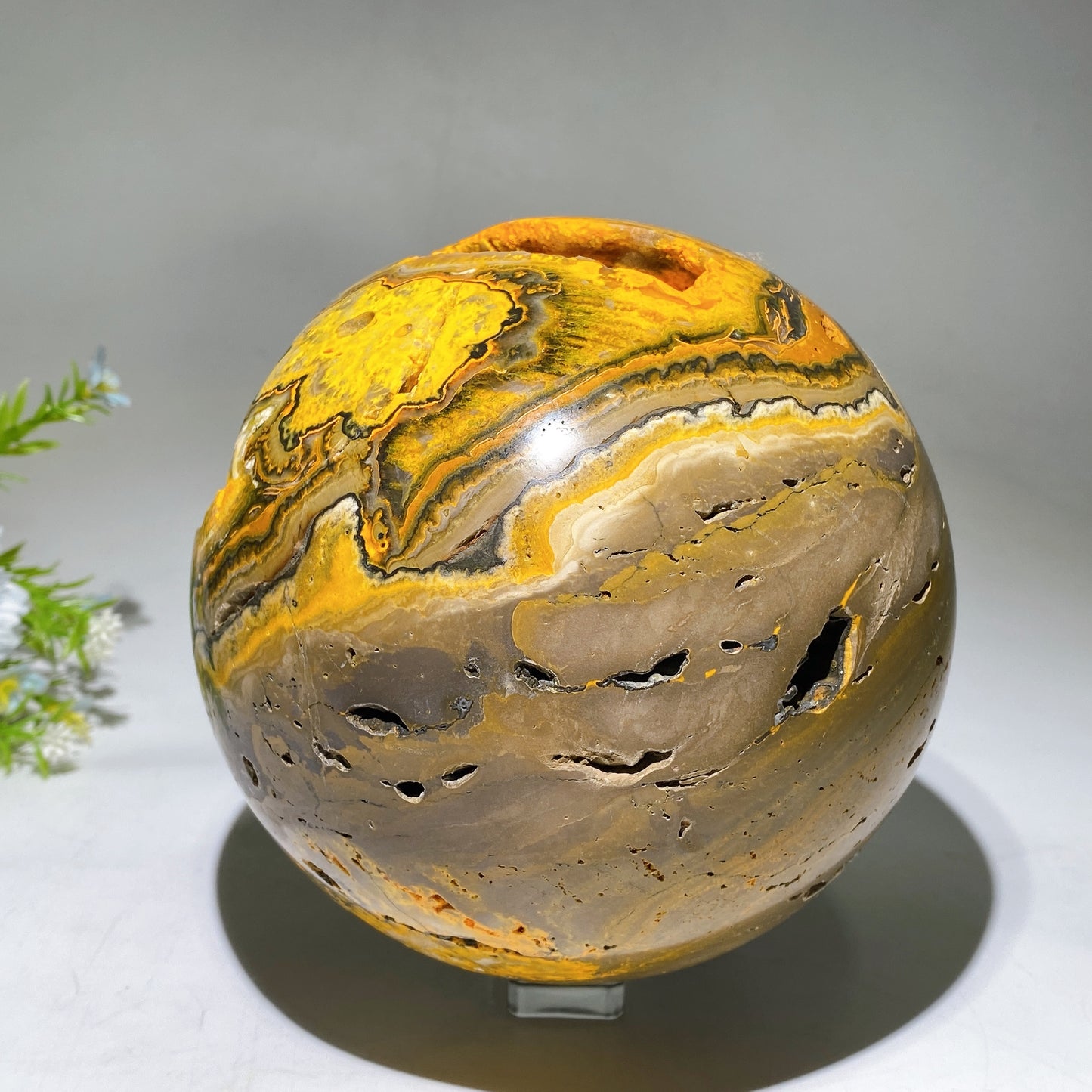15cm Unique Large Bumble Bee Jasper Sphere Crystal Healing Bulk Wholesale