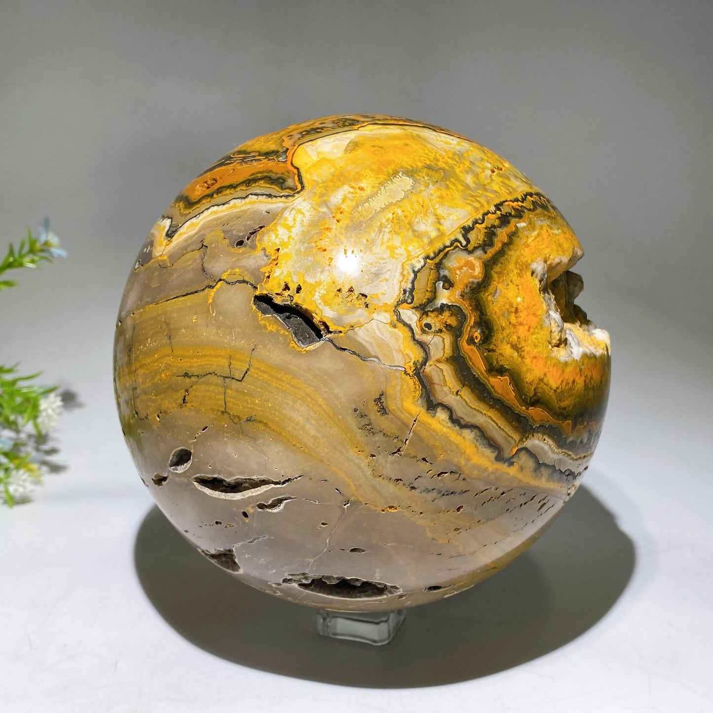 15cm Unique Large Bumble Bee Jasper Sphere Crystal Healing Bulk Wholesale