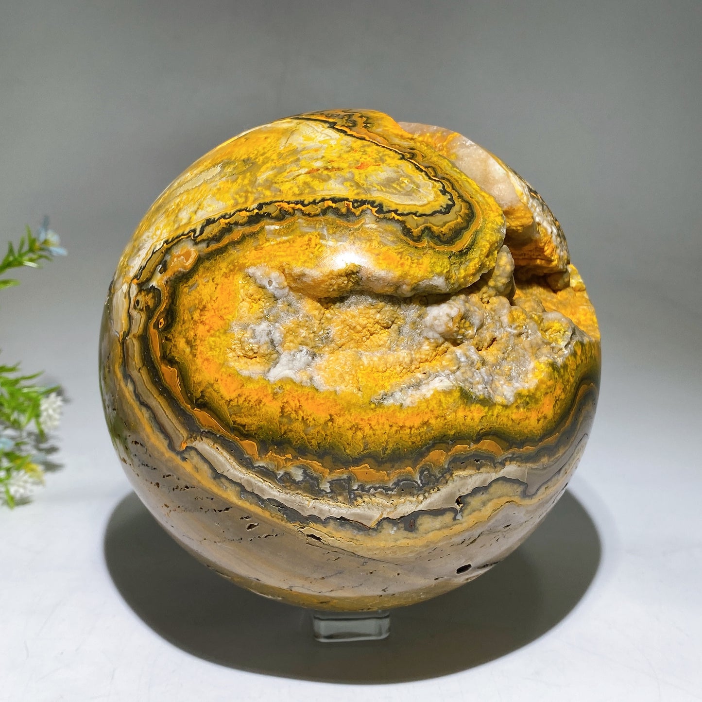 15cm Unique Large Bumble Bee Jasper Sphere Crystal Healing Bulk Wholesale