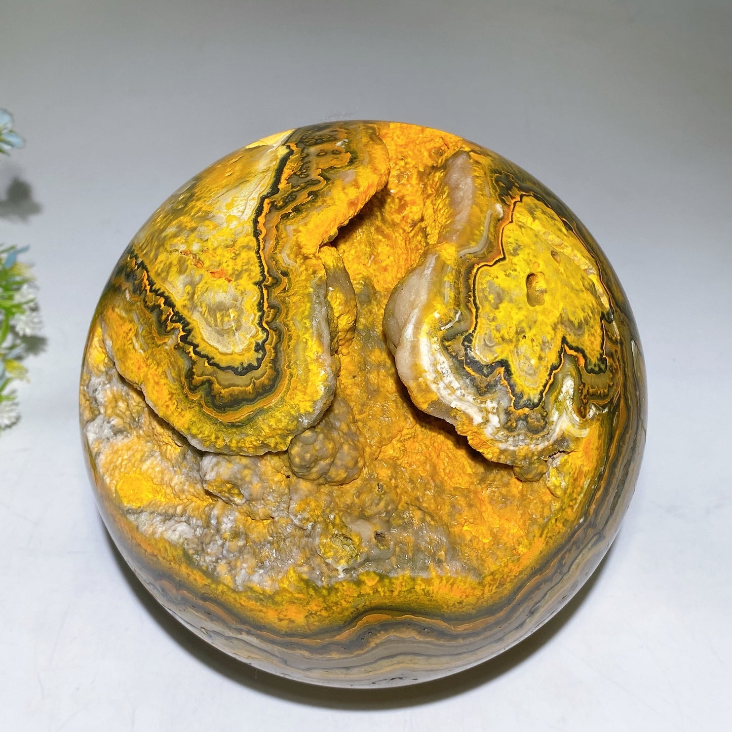 15cm Unique Large Bumble Bee Jasper Sphere Crystal Healing Bulk Wholesale