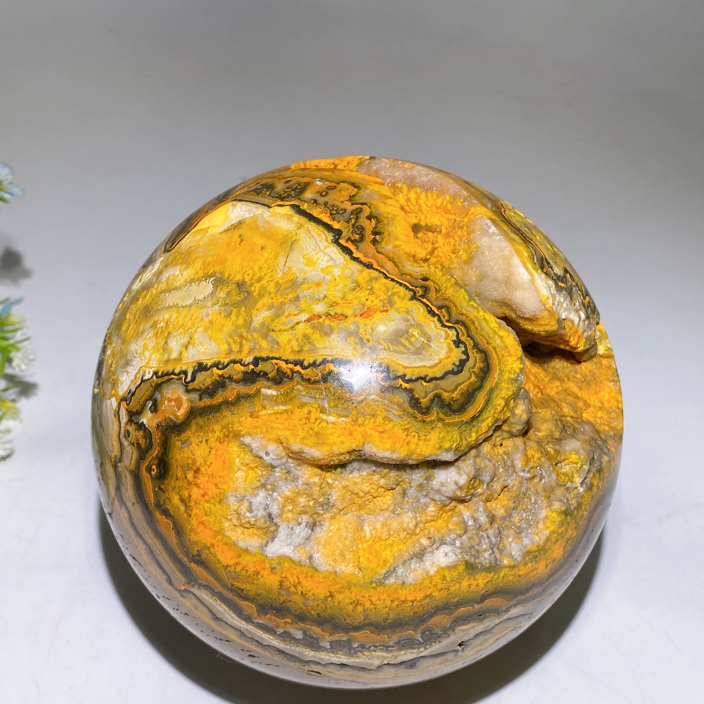 15cm Unique Large Bumble Bee Jasper Sphere Crystal Healing Bulk Wholesale