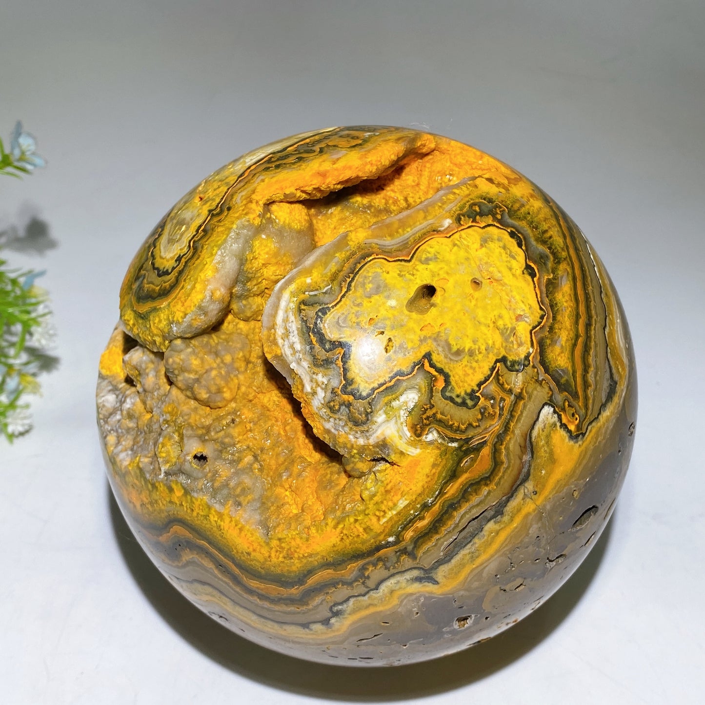 15cm Unique Large Bumble Bee Jasper Sphere Crystal Healing Bulk Wholesale