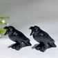 3.5" Black Obsidian Raven Crow Carving Crystal Healing Bulk Wholesale