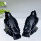 3.5" Black Obsidian Raven Crow Carving Crystal Healing Bulk Wholesale