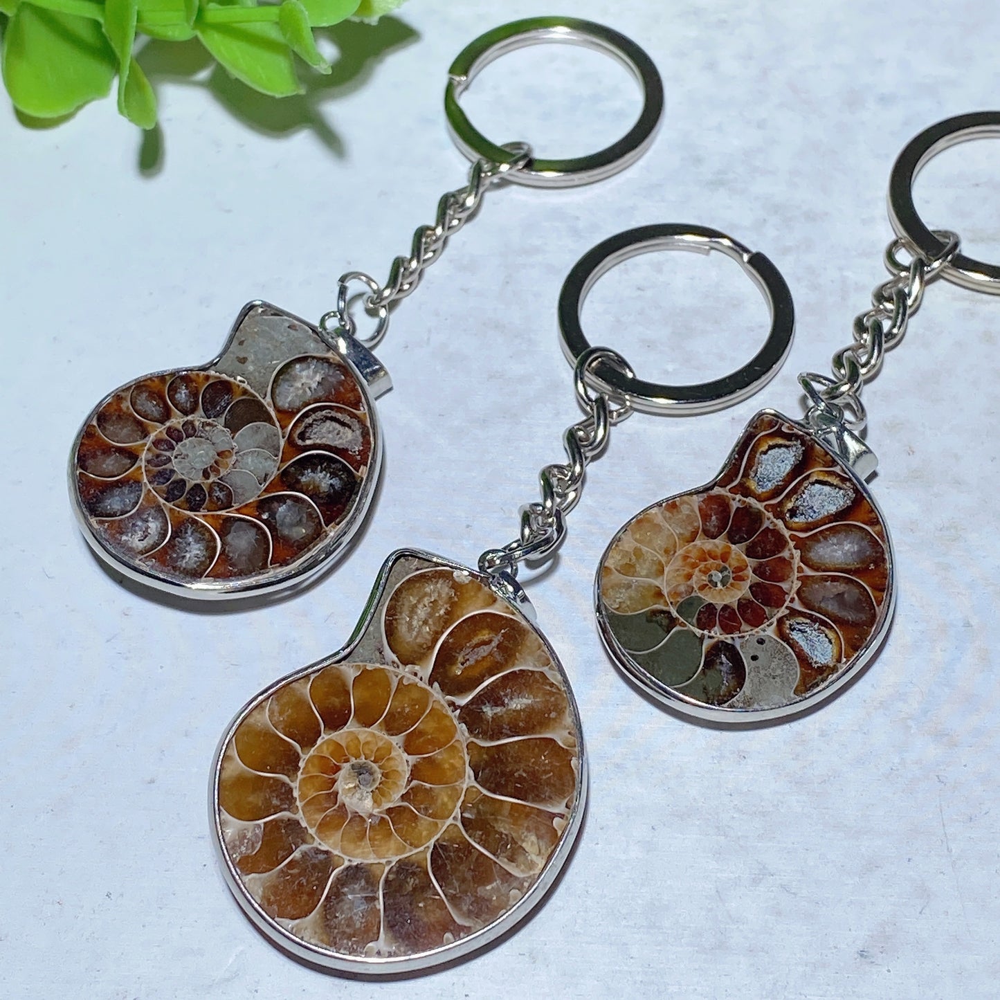 Ammonite Key Chain Ammonite Pendant Bulk Wholesale