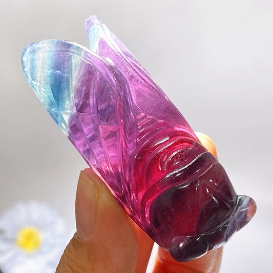2.7" Rainbow Fluorite Cicada Carving Crystal Healing Bulk Wholesale