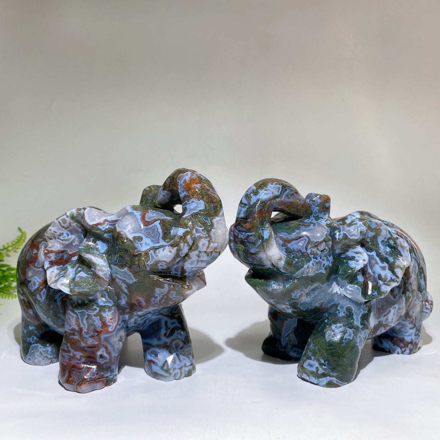 Large Unique Hand Carved Druzy Moss Agate Eelephant Crystal Healing Bulk Wholesale