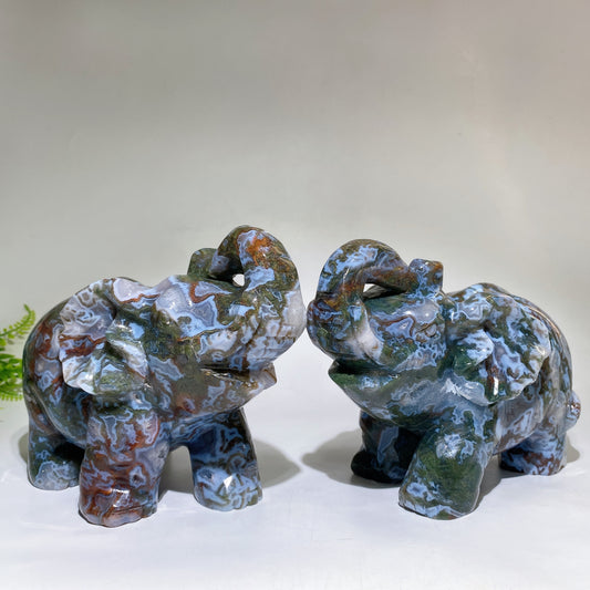 Large Unique Hand Carved Druzy Moss Agate Eelephant Crystal Healing Bulk Wholesale