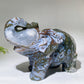 Large Unique Hand Carved Druzy Moss Agate Eelephant Crystal Healing Bulk Wholesale