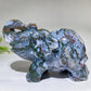 Large Unique Hand Carved Druzy Moss Agate Eelephant Crystal Healing Bulk Wholesale