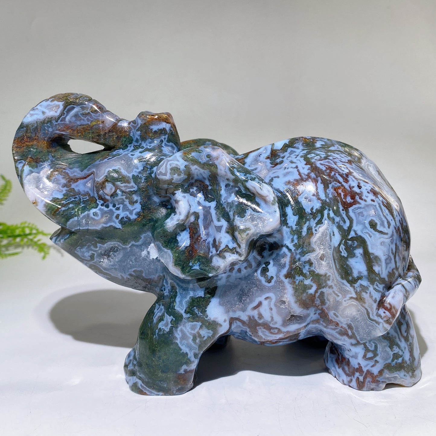 Large Unique Hand Carved Druzy Moss Agate Eelephant Crystal Healing Bulk Wholesale