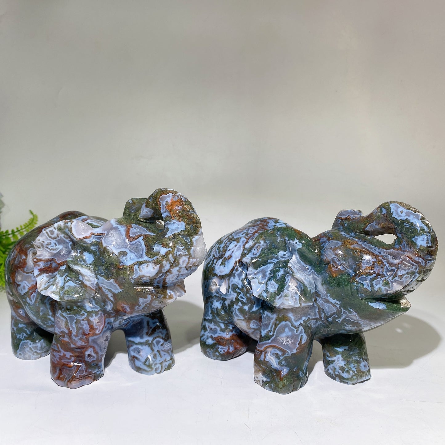 Large Unique Hand Carved Druzy Moss Agate Eelephant Crystal Healing Bulk Wholesale