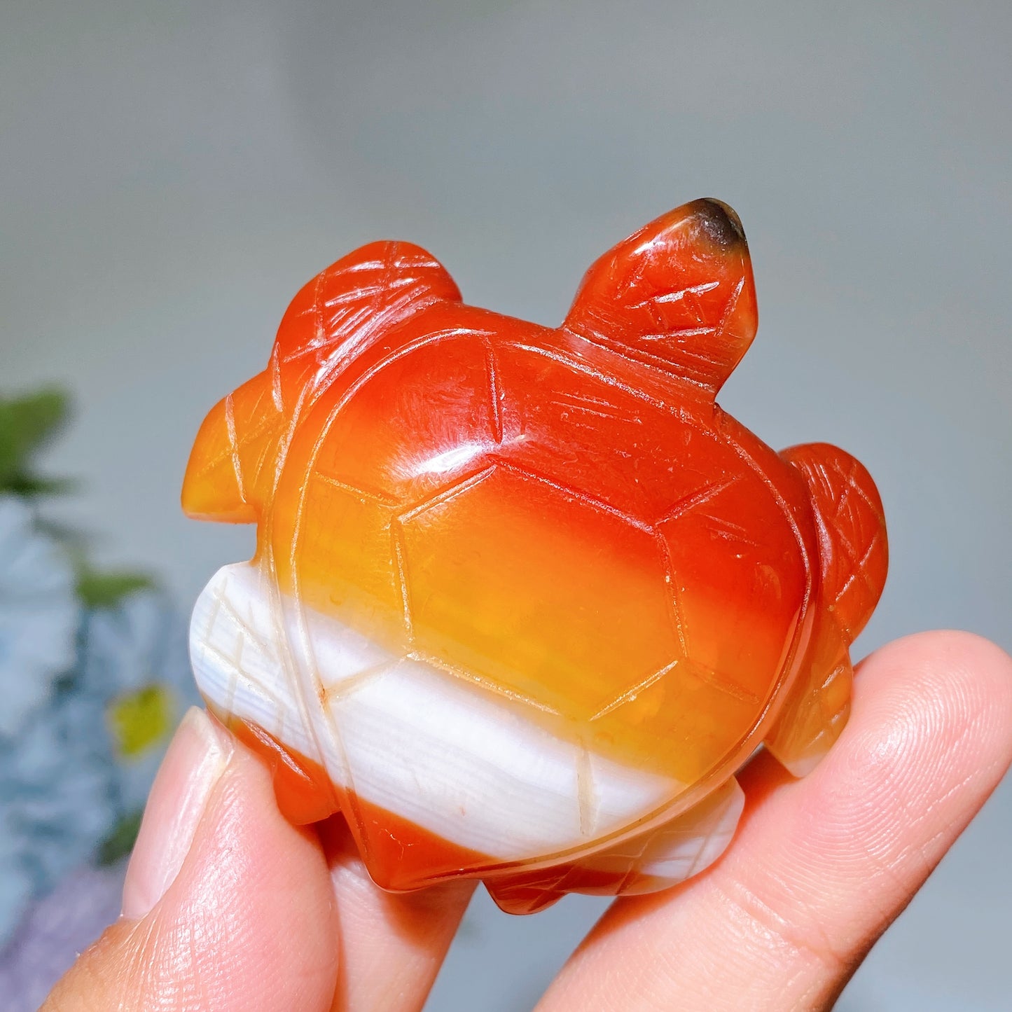 2.0"-2.2" Carnelian Turtle Carving Crystal Healing Bulk Wholesale