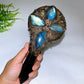 Natrual Black Obsidian Mirror wtih Point Handle Labradorite Decor Crystal Healing Bulk Wholesale