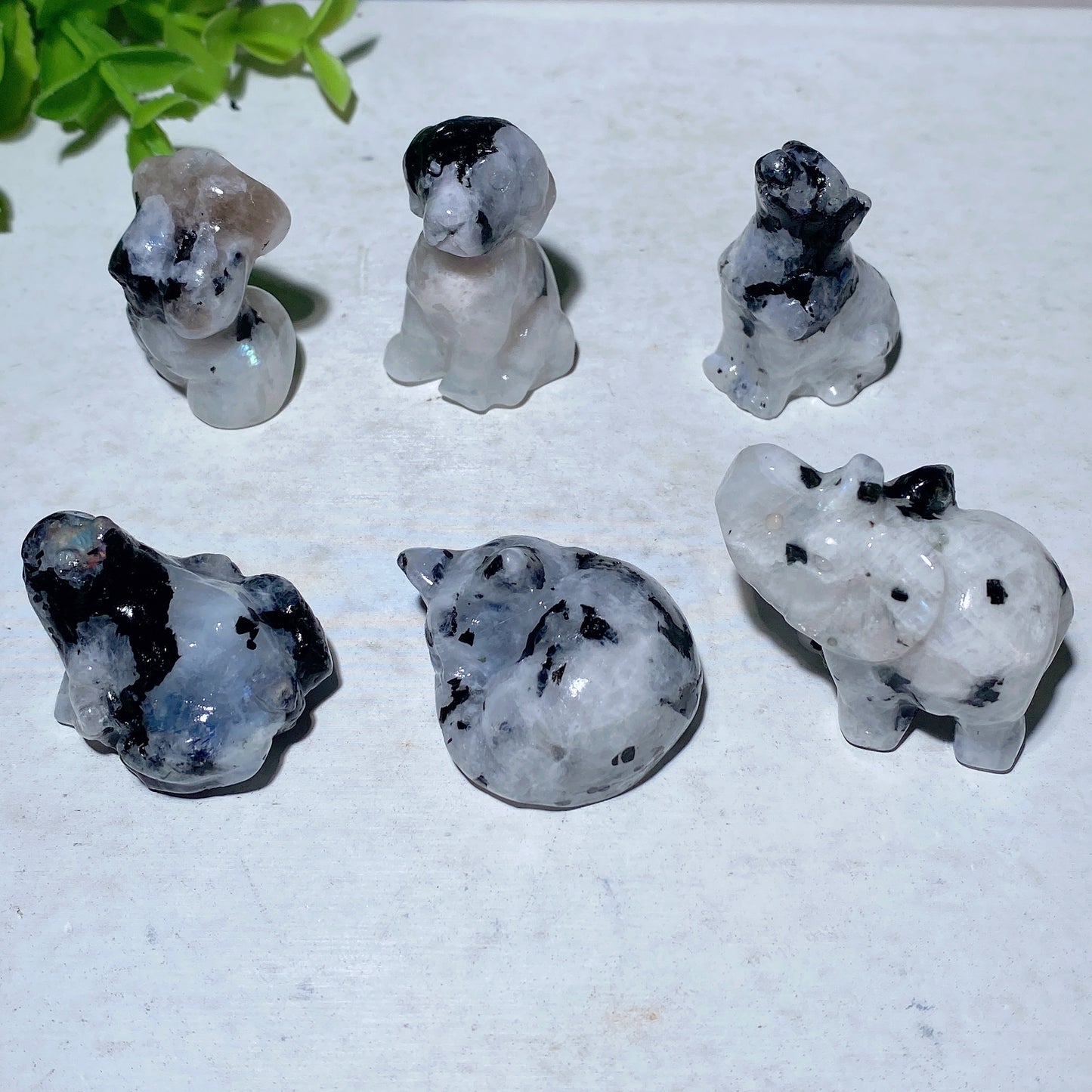 1.1"-1.5" Rainbow Moon Stone Carvings Crystal Healing Bulk Wholesale