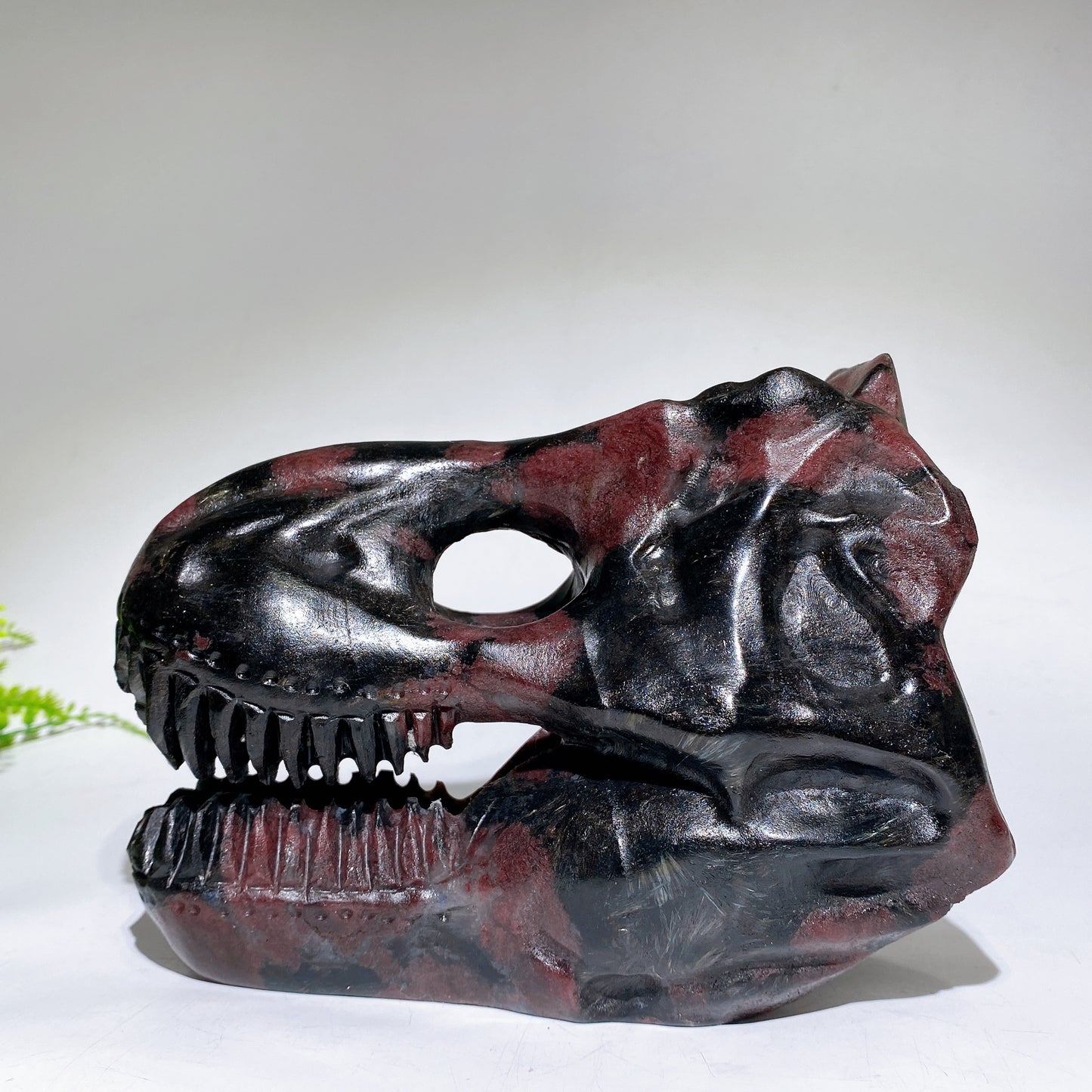 Natural Astrophylite Growing with Garnet Dinosaur Skull Carving Crystal Healing Bulk Wholesale