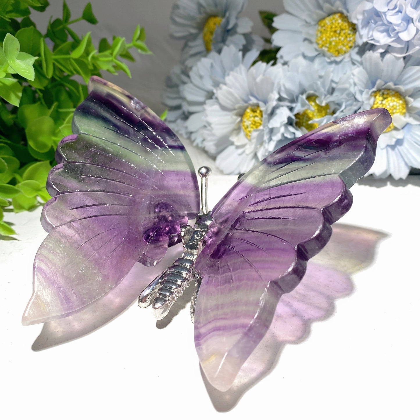 4.0"-4.8" Fluorite Butterfly Dragonfly Carvings Free Form Bulk Wholesale