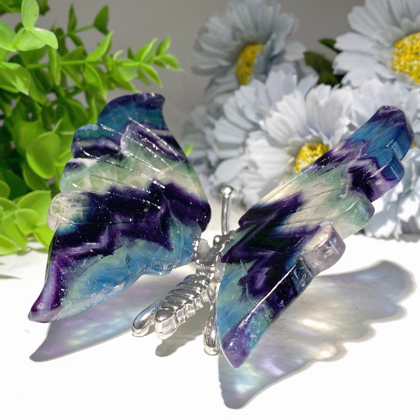 4.0"-4.8" Fluorite Butterfly Dragonfly Carvings Free Form Bulk Wholesale