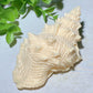 1.5"-3.3" Ivory Nut Charactor Carvings Bulk Wholesale