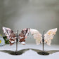 Crystal Butterfly Wings with Stand Crystal Healing Bulk Wholesale