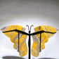 Large Unique Bumblebee Jasper Butterfly Wings Carving with Stand Crystal Healing Bulk Wholesale
