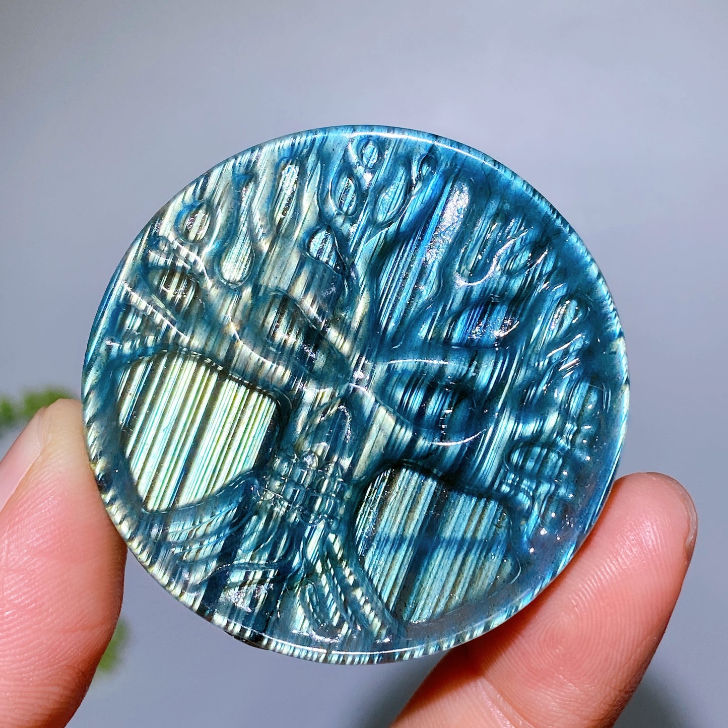 1.9" Natural Labradorite Life Tree Round Slab Crystal Healing Bulk Wholesale