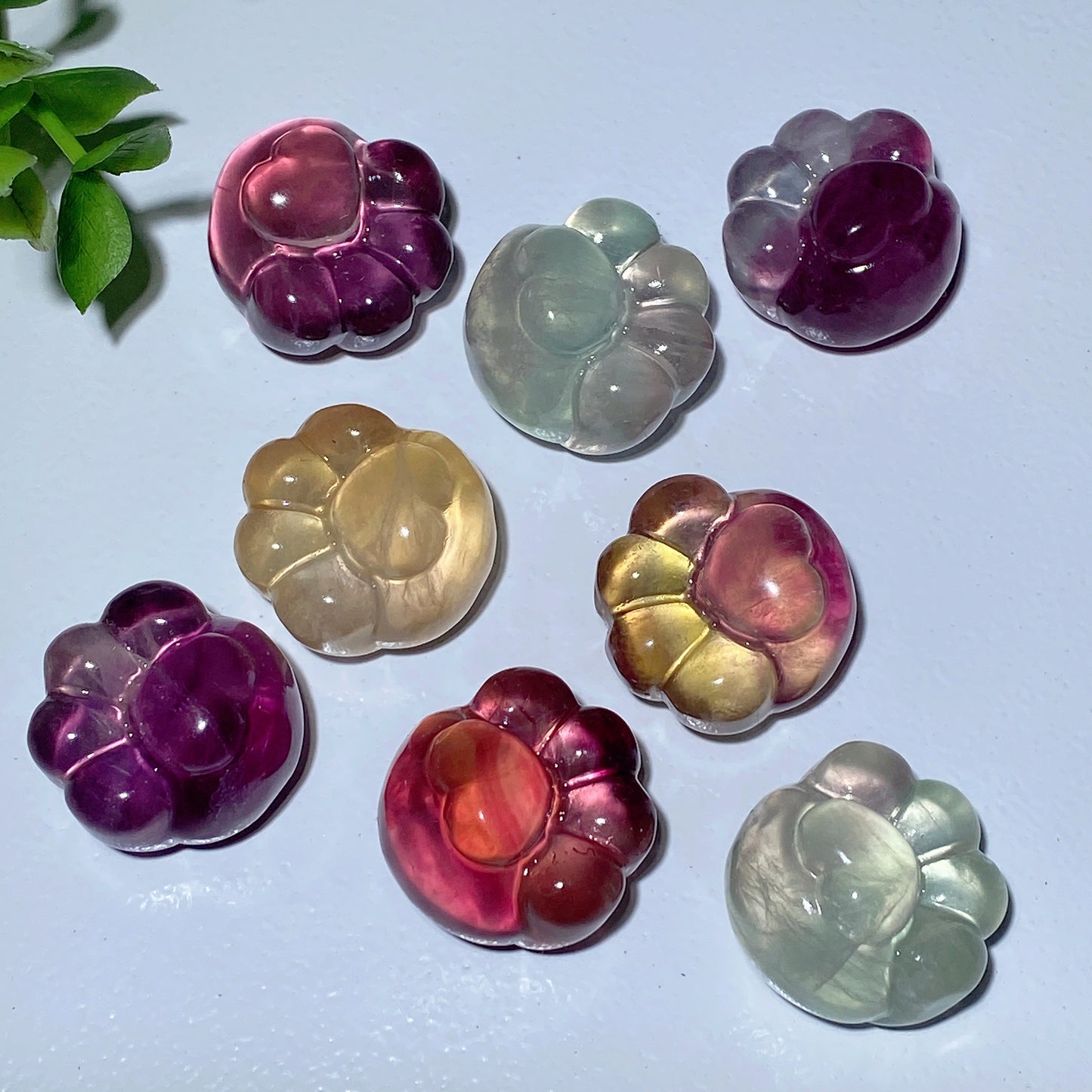 0.9" Mixed Fluorite Cat Paw Carvings Bulk Wholesale