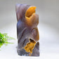 Unique Natural Agate Geode with Nine-tails Fox Carving Free Form Crystal Healing Bulk Wholesale