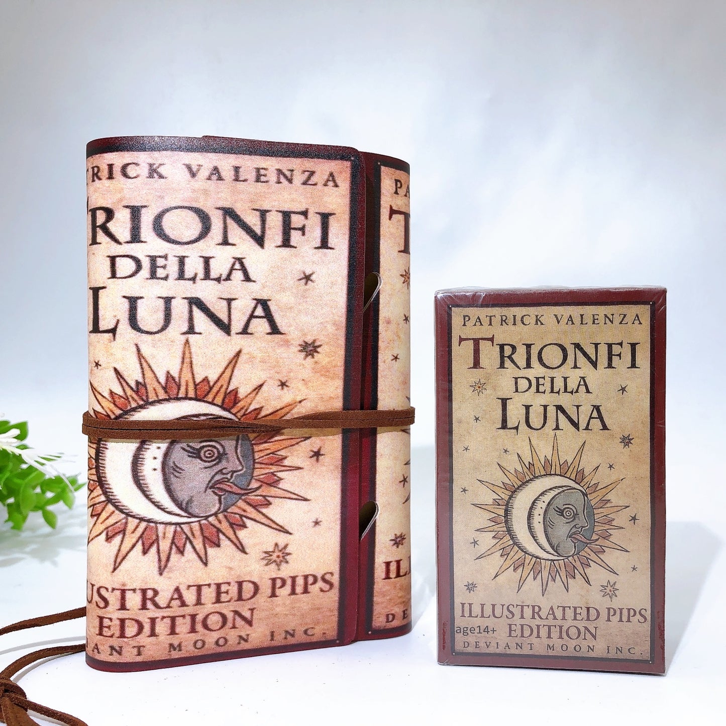 Tarot Cards with Notebook Crystal Healing Bulk Wholesale